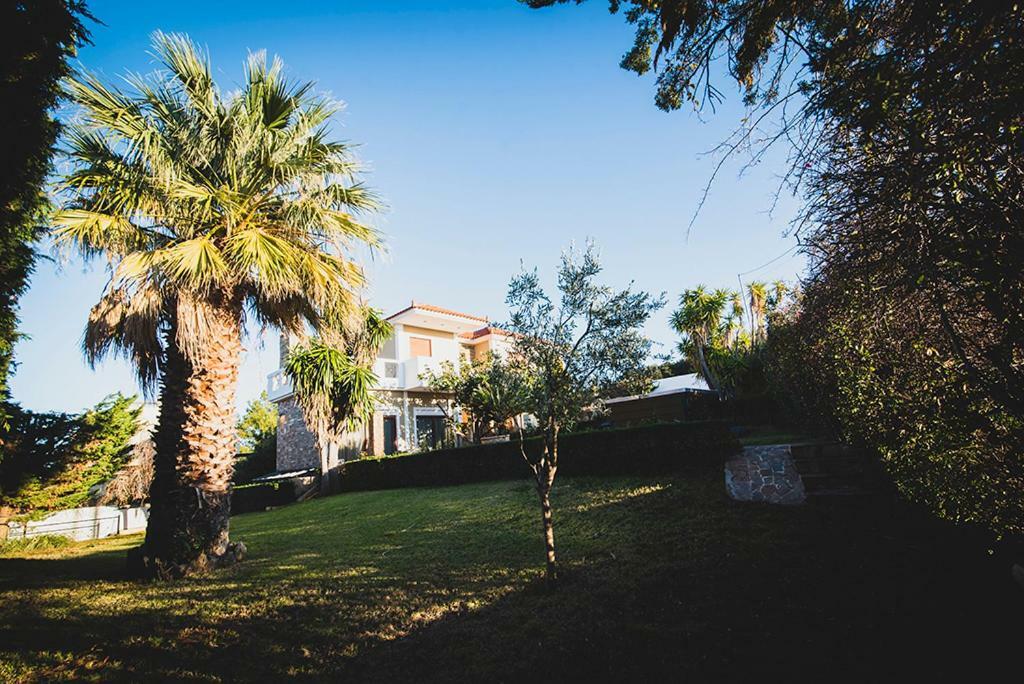 Villa Soula อานาวีซอส ภายนอก รูปภาพ